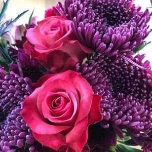 Meet your Posher, Susan